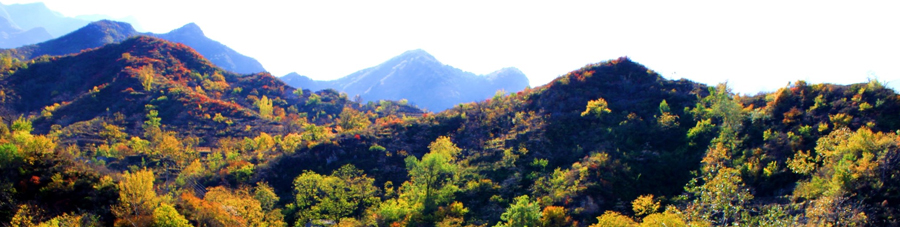 水峪村-2.jpg